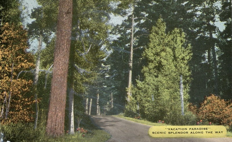 Greenwood Cabins - Vintage Postcard (newer photo)